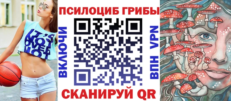 blacksprut рабочий сайт  Таштагол  Псилоцибиновые грибы Cubensis 